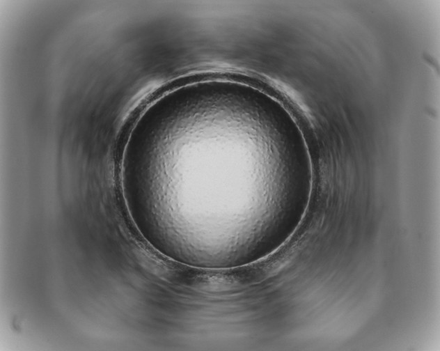 X0000091201318200708161605