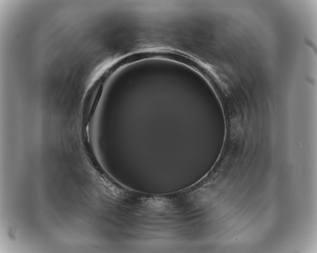 X0000091201319200708161605