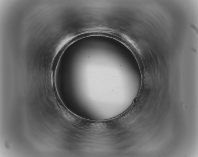 X0000091201320200708161605