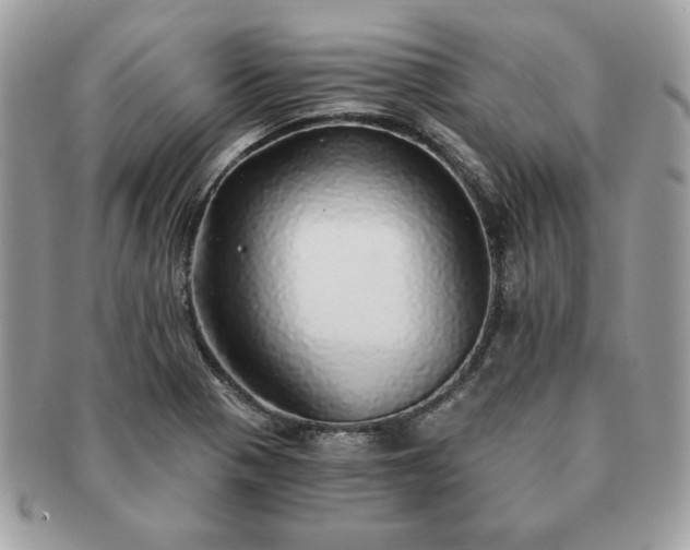 X0000091201321200708161605