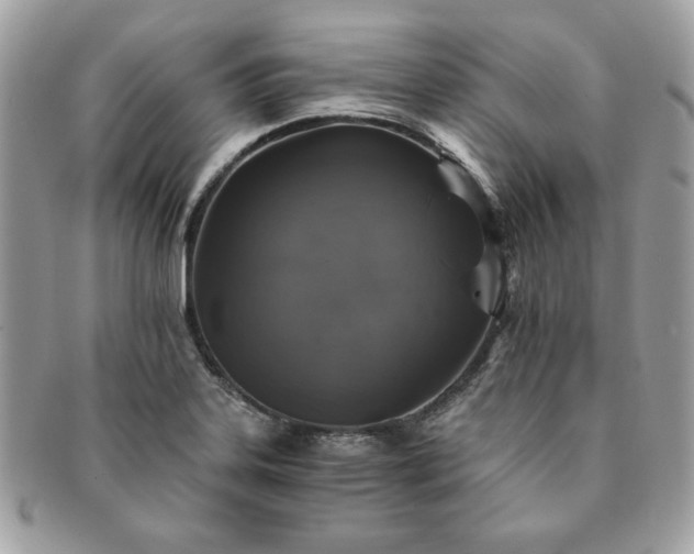 X0000091201323200708161605