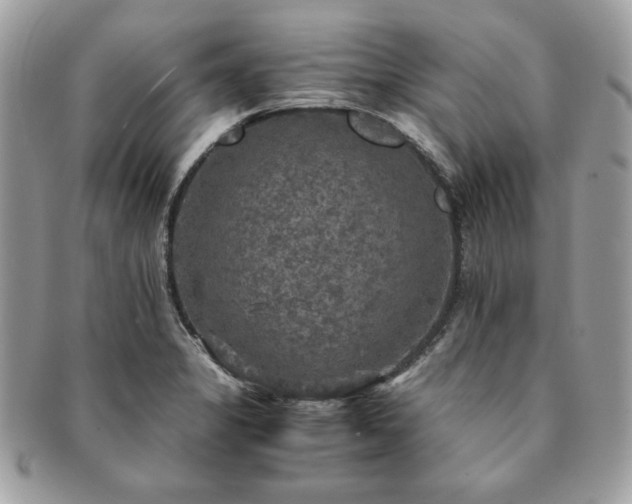 X0000091201325200708161605