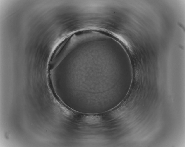 X0000091201327200708161605