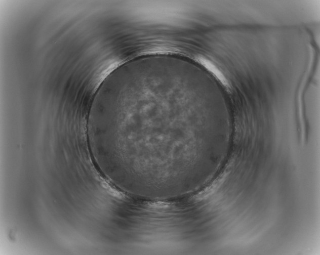 X0000091201329200708161606