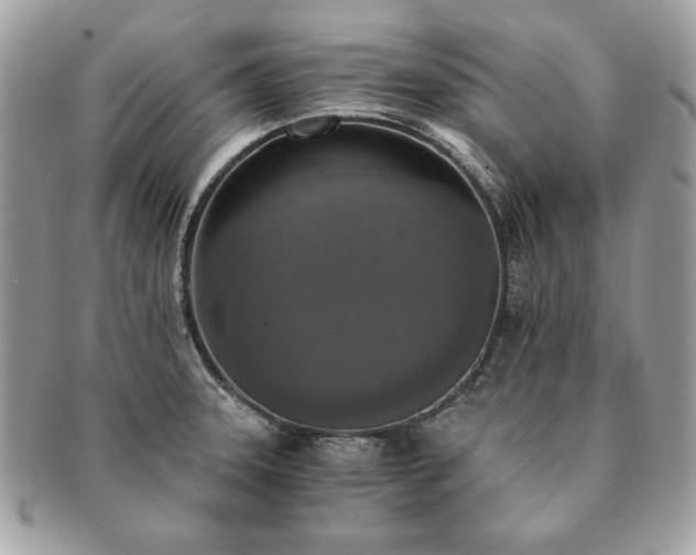 X0000091201331200708161606