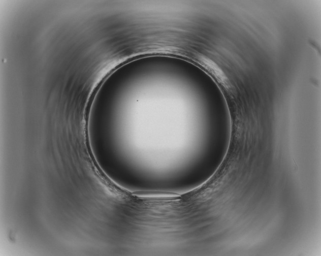 X0000091201332200708161606