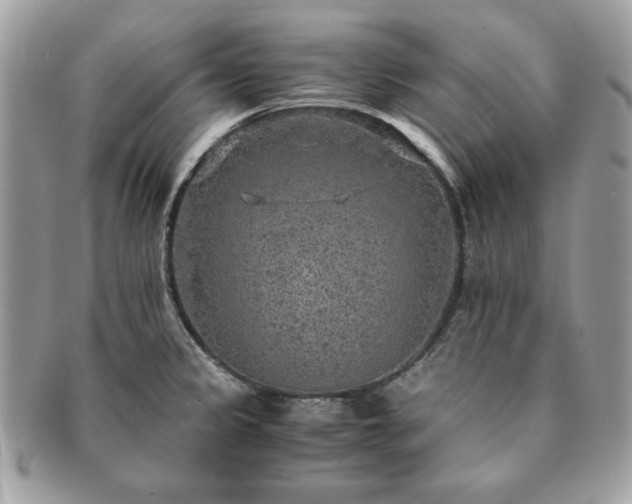 X0000091201333200708161606