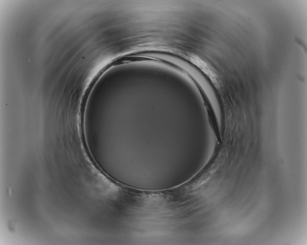 X0000091201334200708161606