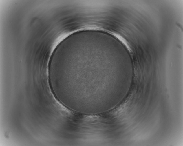 X0000091201335200708161606
