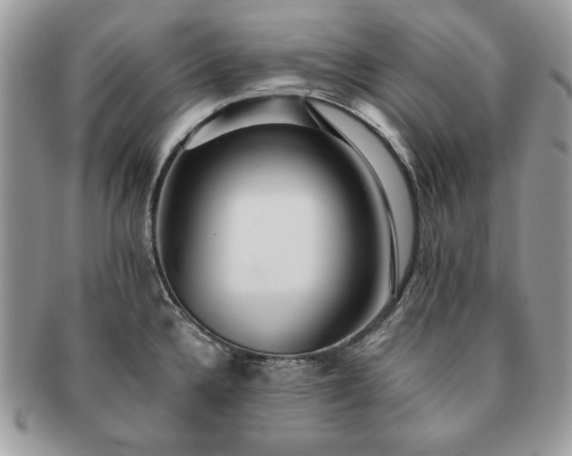 X0000091201336200708161606