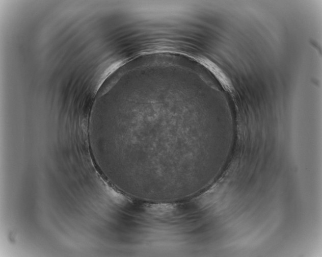 X0000091201337200708161606