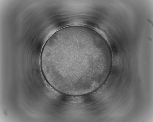 X0000091201338200708161606