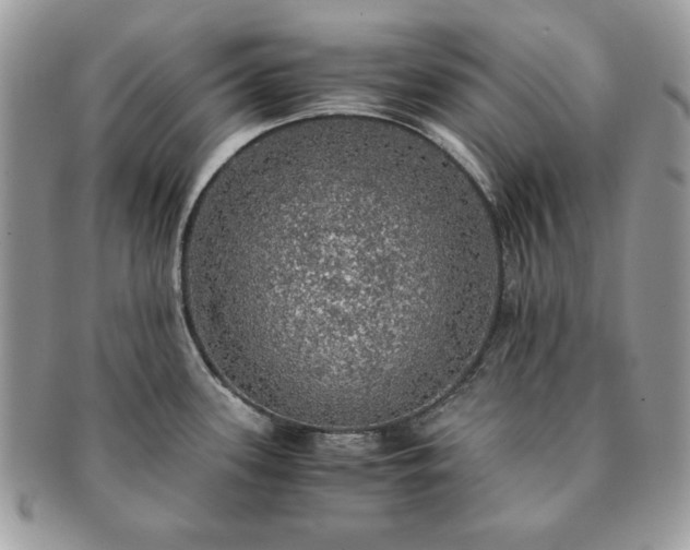 X0000091201339200708161606