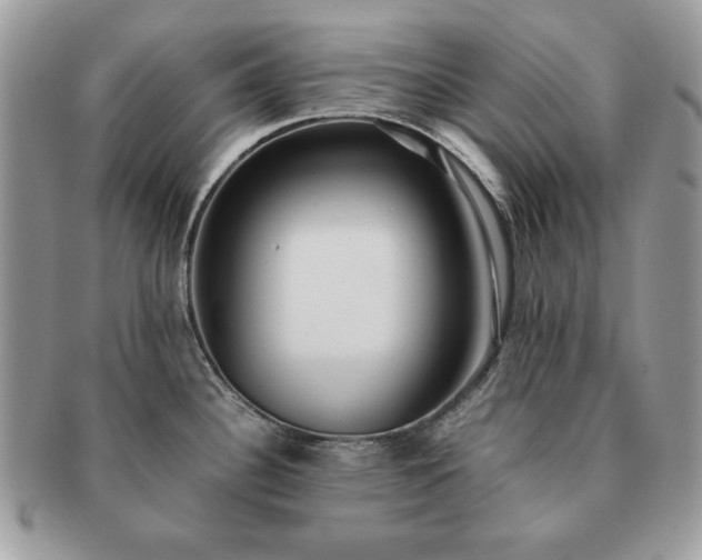 X0000091201340200708161606
