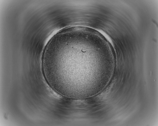 X0000091201341200708161606