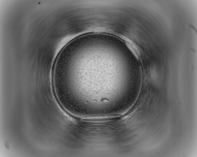 X0000091201343200708161606