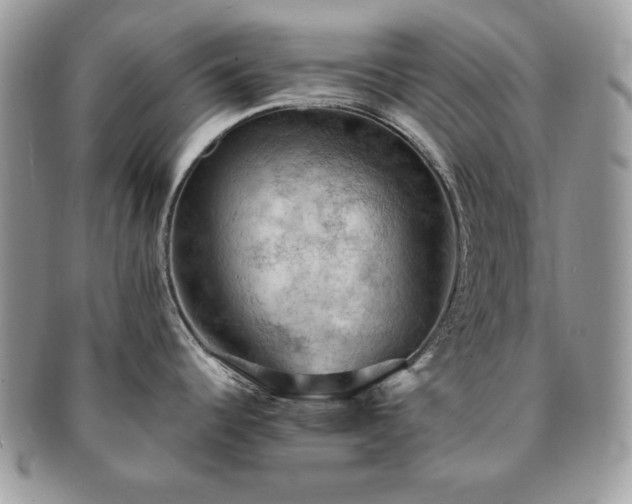 X0000091201344200708161606