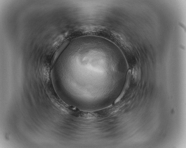 X0000091201348200708161605