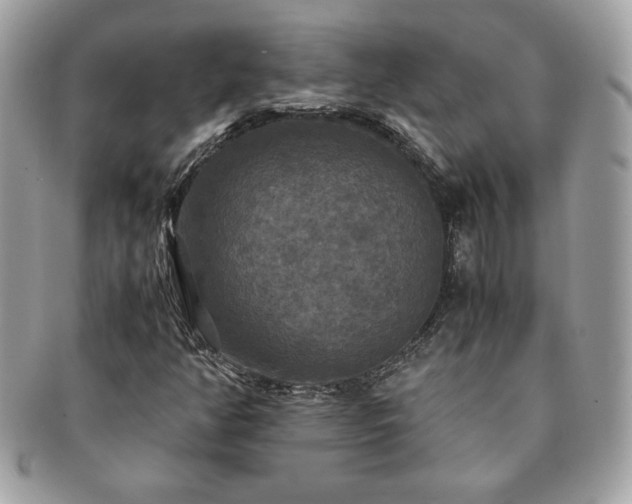 X0000091201350200708161605