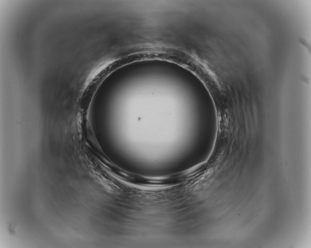 X0000091201352200708161605