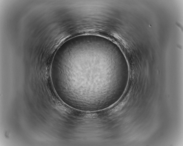 X0000091201353200708161605