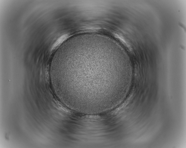 X0000091201354200708161605