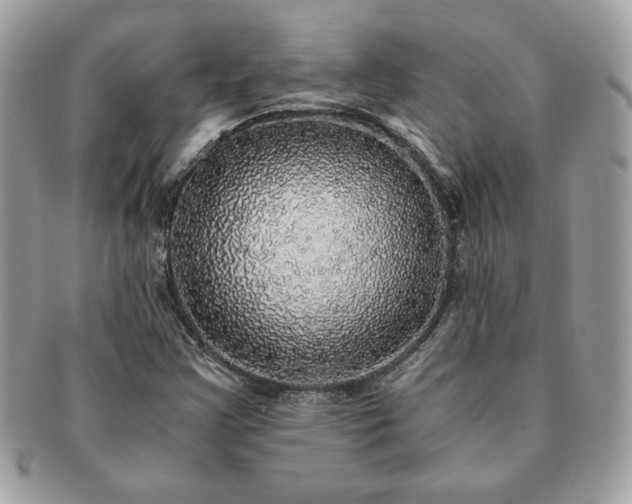 X0000091201355200708161605