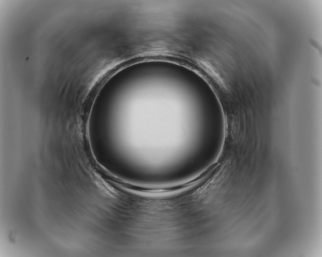 X0000091201356200708161605