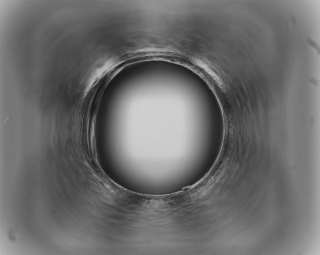 X0000091201357200708161605