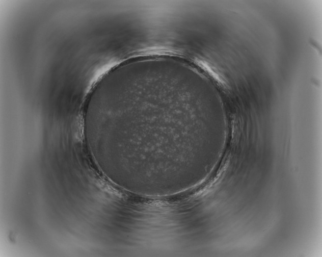 X0000091201358200708161605