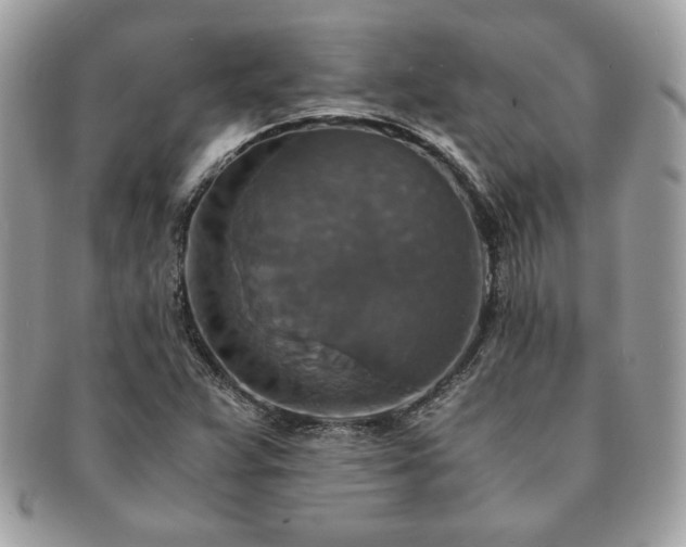 X0000091201359200708161605
