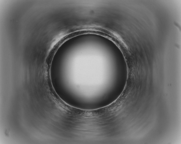 X0000091201360200708161605
