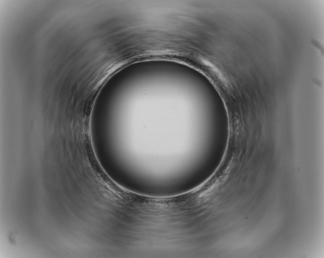 X0000091201361200708161605