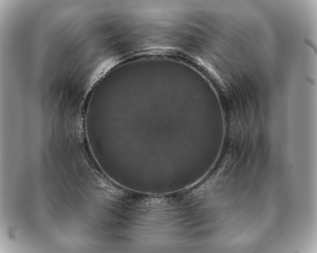 X0000091201362200708161605