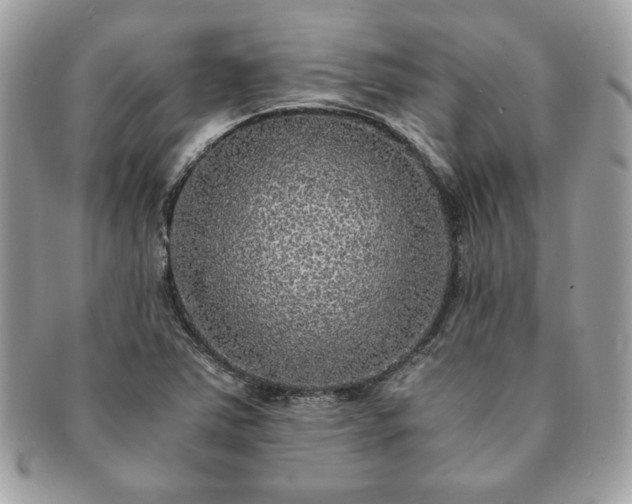 X0000091201363200708161605