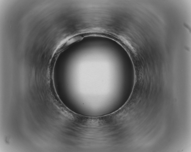 X0000091201364200708161605