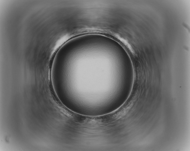 X0000091201365200708161605