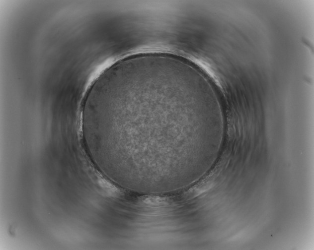 X0000091201366200708161605