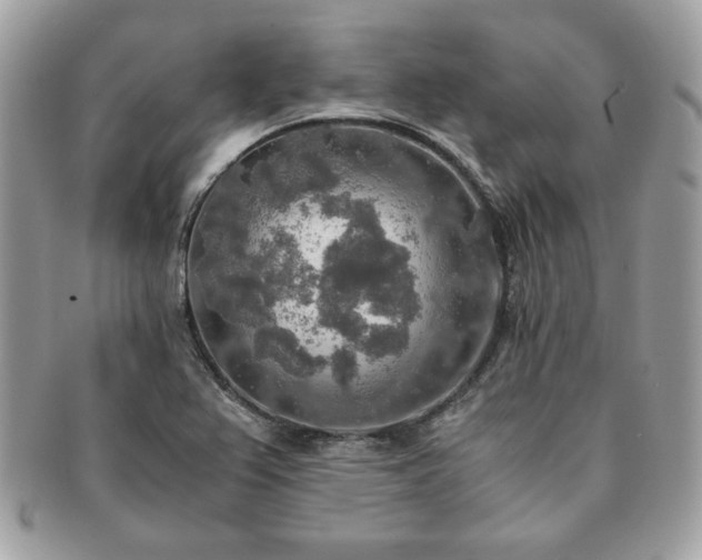 X0000091201367200708161605