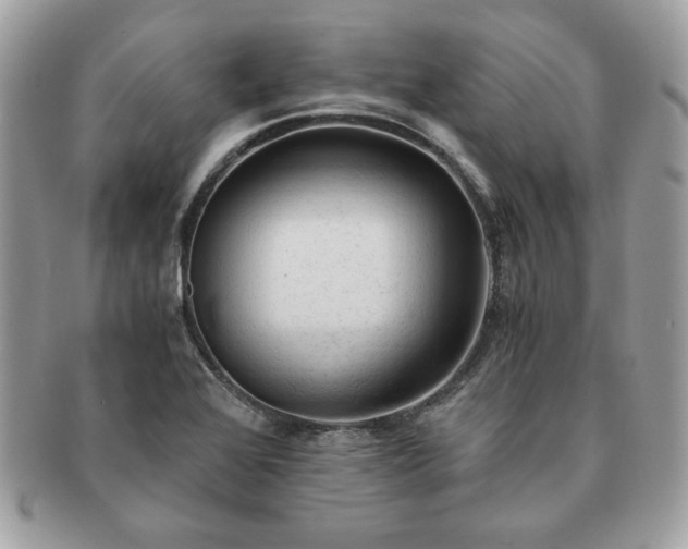 X0000091201368200708161605