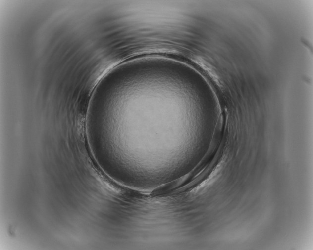 X0000091201369200708161605