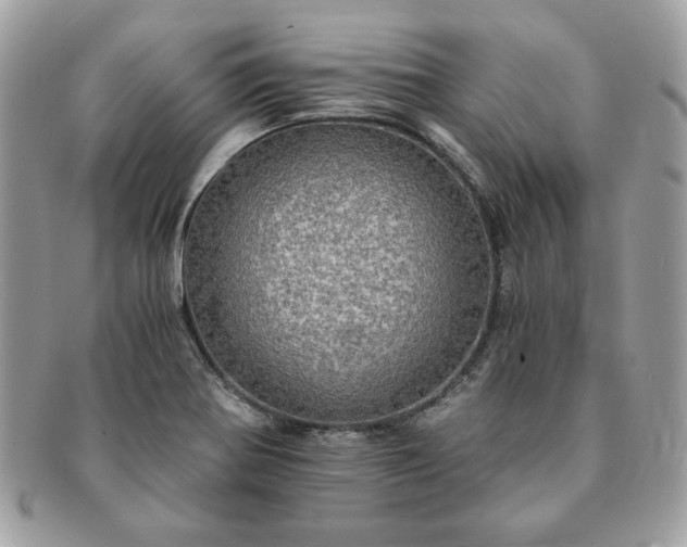 X0000091201370200708161605
