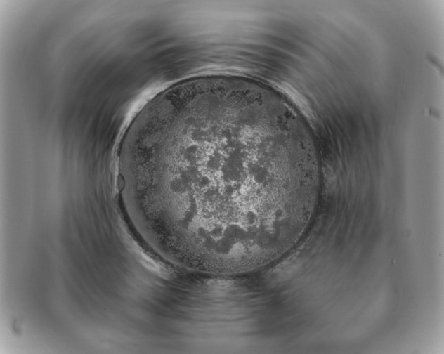 X0000091201371200708161605