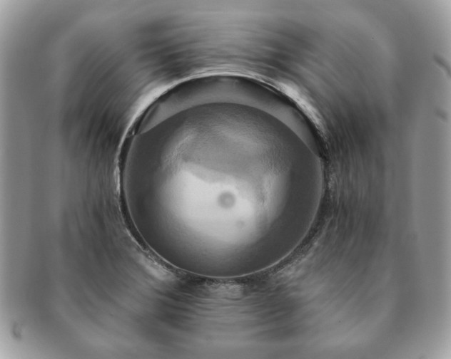 X0000091201372200708161605