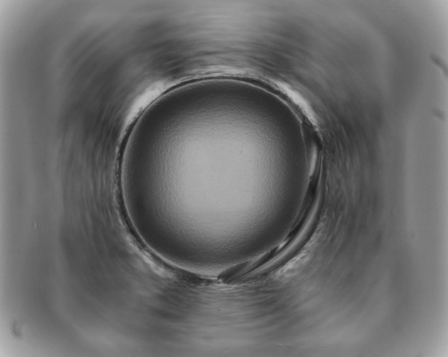 X0000091201373200708161605