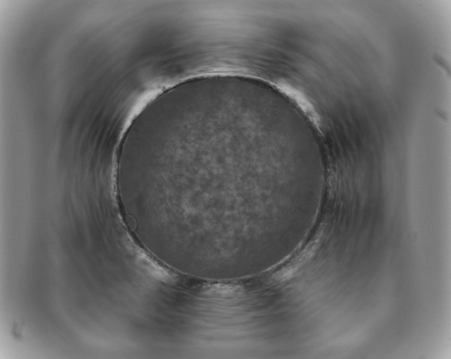X0000091201374200708161605
