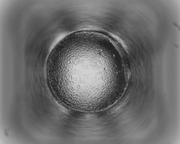 X0000091201375200708161605