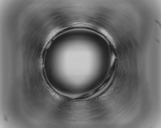 X0000091201376200708161604