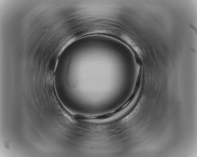 X0000091201377200708161604