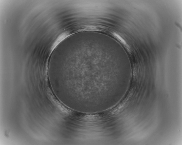 X0000091201378200708161604